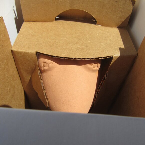 Brand New Disney The Muppets Kermit The Frog Chia Pet - Picture 6 of 7